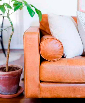Consejos sobre cómo limpiar sofá de piel